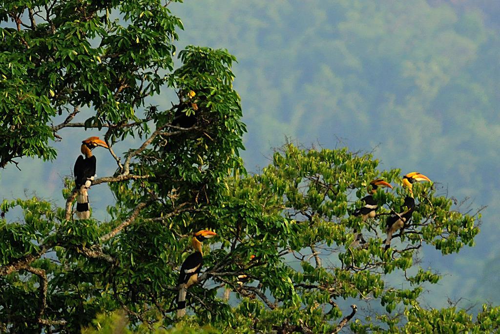 Bed and Breakfast Periyar Woods Thekkady Exterior foto