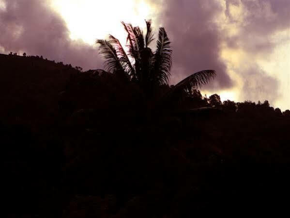 Bed and Breakfast Periyar Woods Thekkady Exterior foto